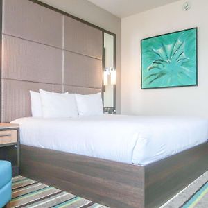 One-Bedroom King Suite Sofa Bed